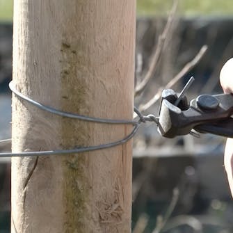 pileflet til haven pileflet til haven